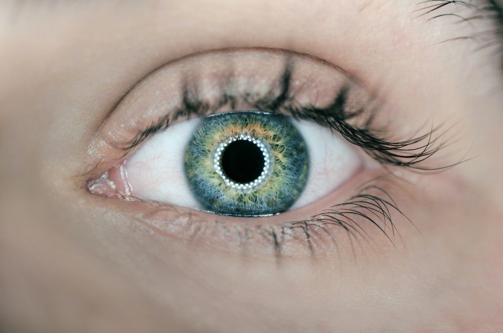 Contact lenses & ortho-K